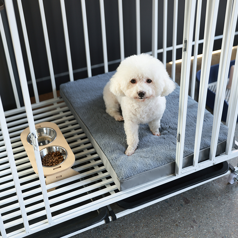 Dog Bed Mat with Zipper Remolv - đánh giá và giá Mattress Pad Topper