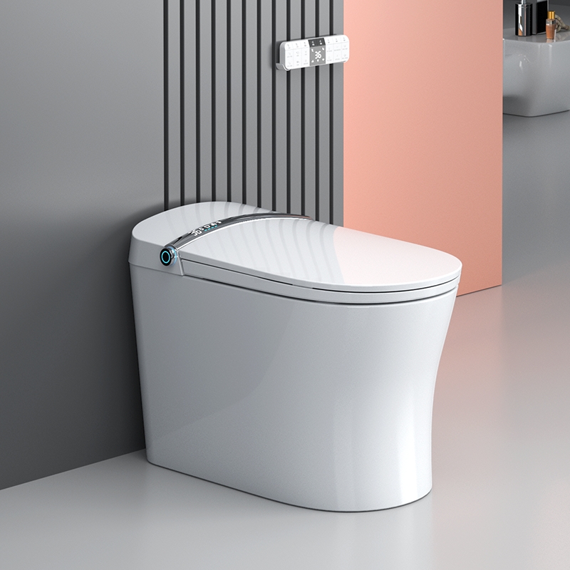 New Smart Toilet Model-Heated  - đánh giá và giá P & C Home Textiles Usa