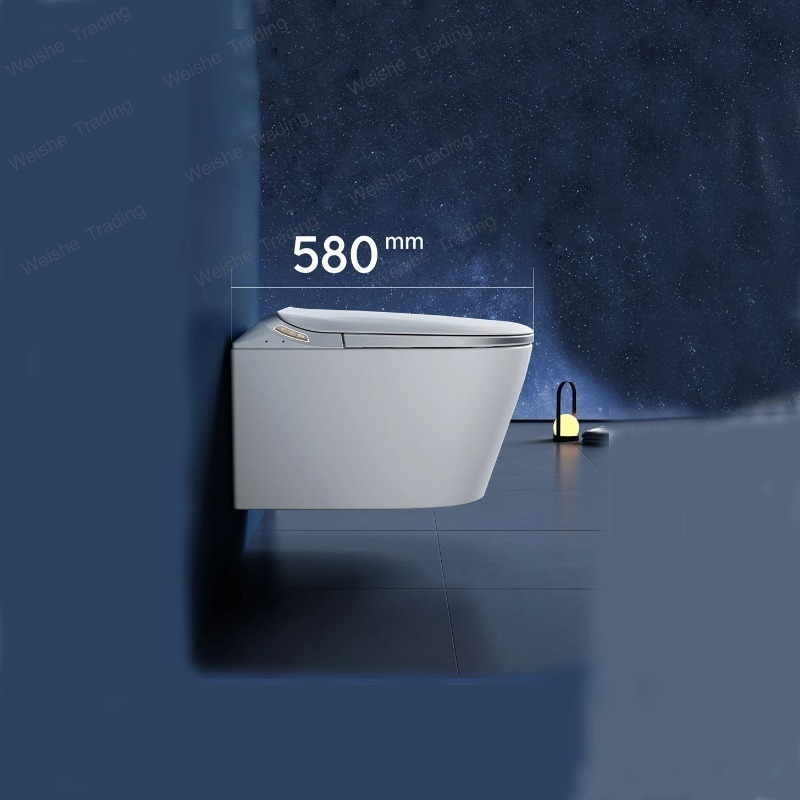 Luxury P-trap Wall Hung Intell - đánh giá và giá P & C Home Textiles Usa