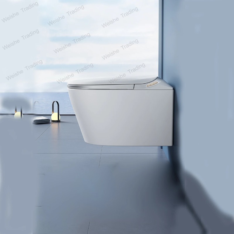 Luxury P-trap Wall Hung Intell - đánh giá và giá P & C Home Textiles Usa